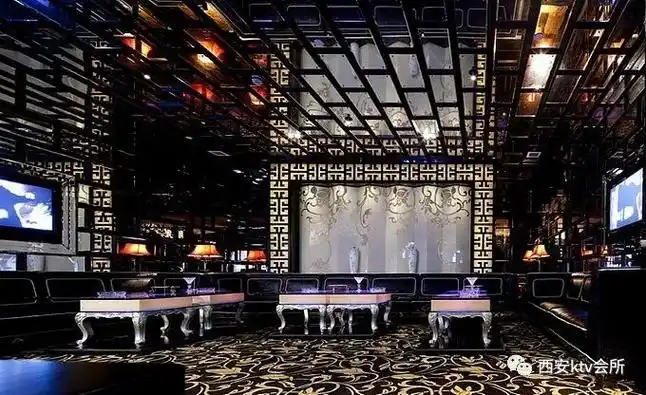 星辉国会夜总会十大,西安夜总会预订 !  第5张