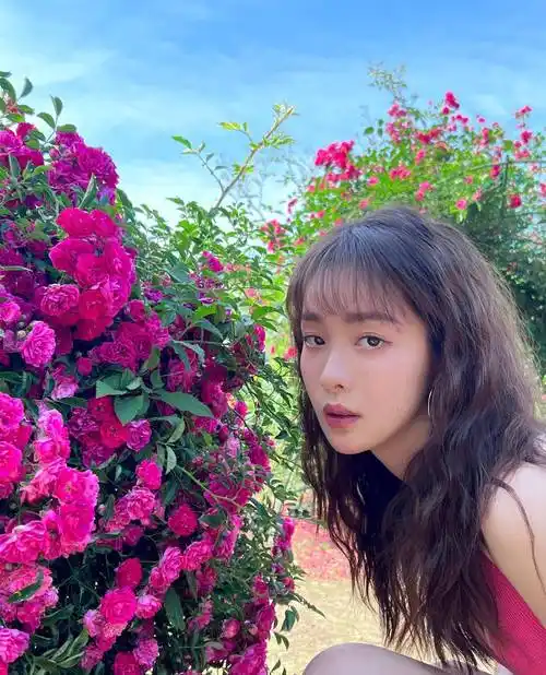 长腿女星赵尧珂低身材衣短裤,花丛中展露火辣身材_粉红色_写真_电视剧