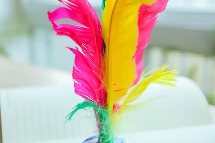 毽子民间运动花毽比赛毽球大花怀旧羽毛毽子