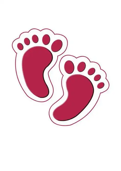 小动物的脚印简笔画12张