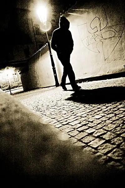 兜帽,走,鹅卵石,背影,街道,夜晚,亮光