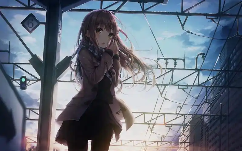 2020年最热门的壁纸top10(wallpaper engine)