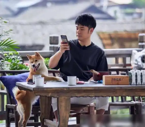 《向往的生活》陈赫第一次见"农村厕所",说出3个字,全场傻眼