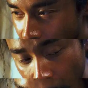 王家卫镜头下的张国荣之《东邪西毒