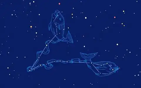 星座之双鱼座