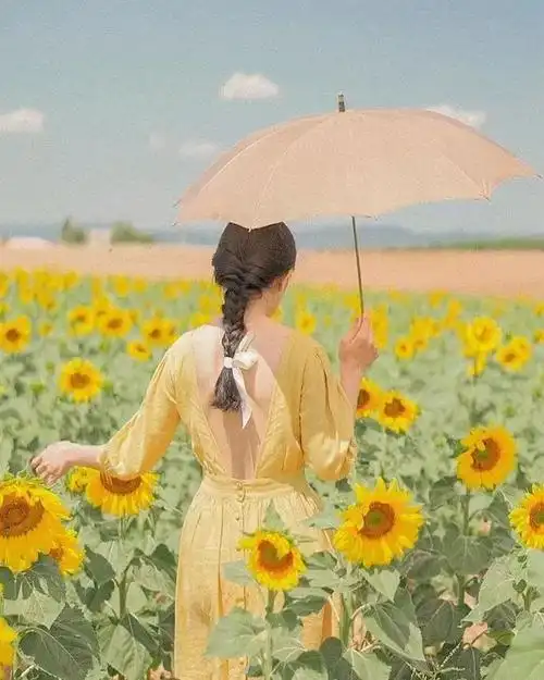 社恐拍照自救指南完整版