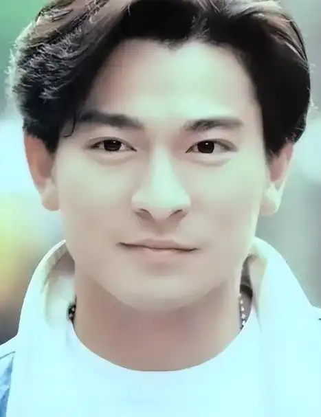 开篇汤镇业是一位在90年代和刘德华齐名的香港艺人.