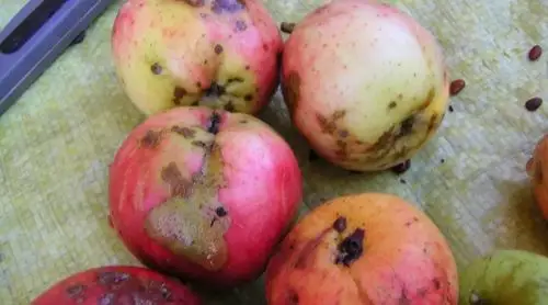 食物烂了一点还能不能吃?这4类真不能吃,伤肝伤肾还致癌!