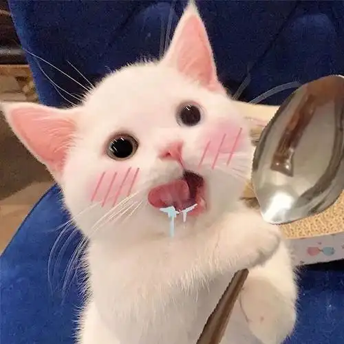 超多女生都用过它们做头像你是其中之一吗