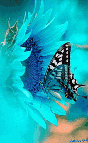 闪--火动图gif--1