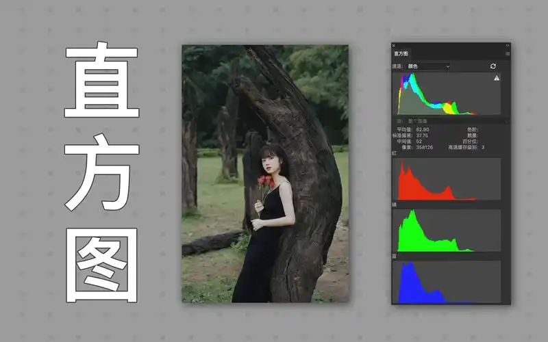如何用直方图分析照片影调和色彩倾向lr系统教程第二期