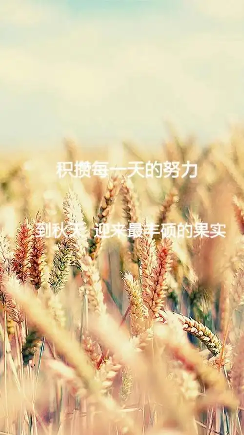 励志经典语录说说