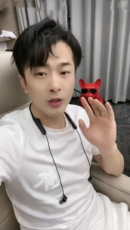 "农民企业家"辛巴的堕落史