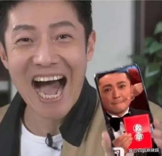 使刘谦"含泪"离开春晚,被警察蜀黍拿来做审讯案例分析,被做成表情包