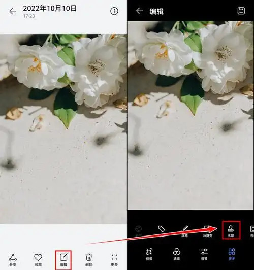 今天我就来告诉你们图片加水印怎么操作,不用ps