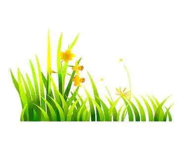 花花草草卡通装饰背景素材