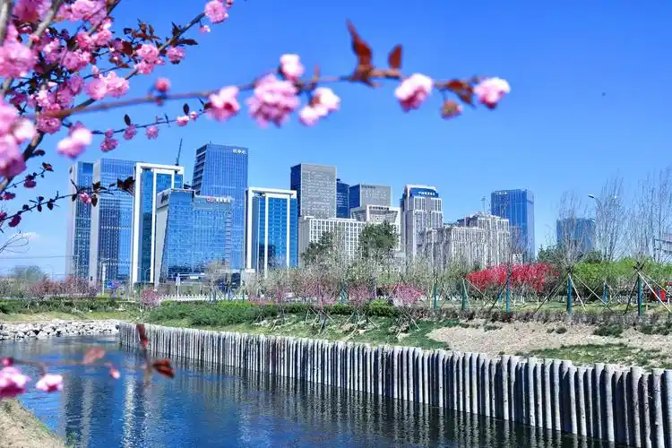 丽泽金融商务区实现"开门红"_北京日报app北京号