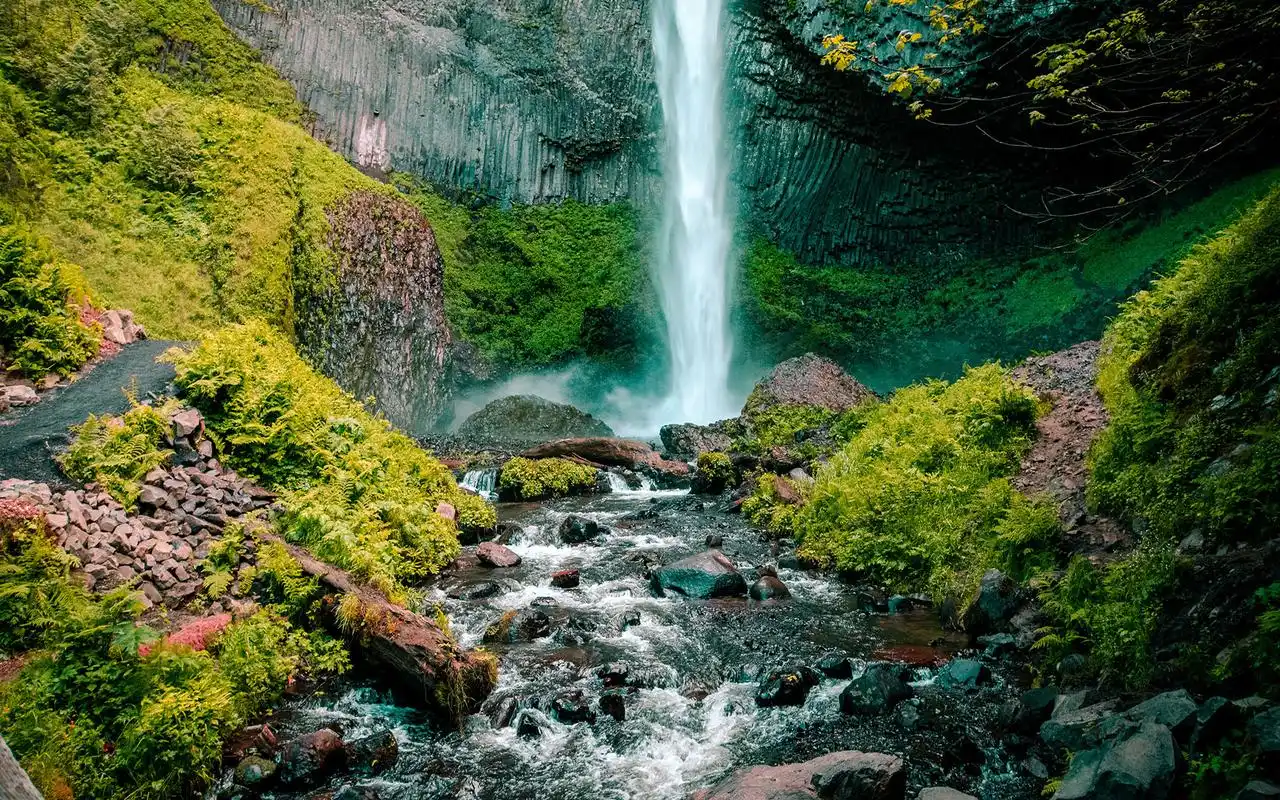 绿色护眼森林自然风光图片桌面壁纸高清大图预览1920x1200_风景壁纸