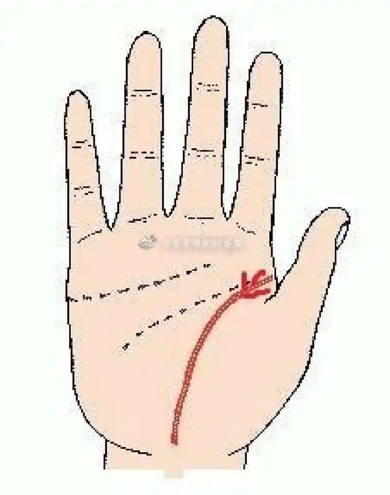 生命线分叉的话,又有哪些预示呢?