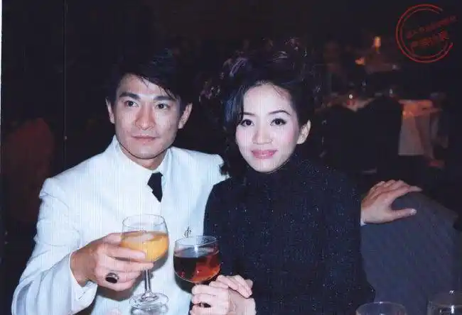 刘德华不老的传说全能的战士