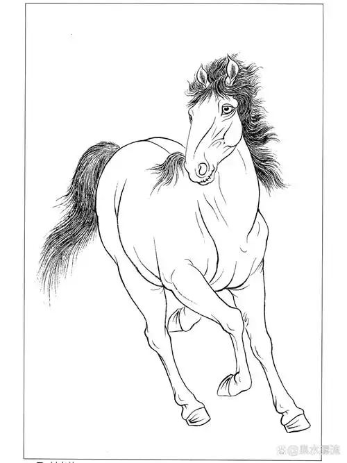 【高清白描动物素材】骏马 工笔白描动物形态的皮雕皮塑手绘素材有