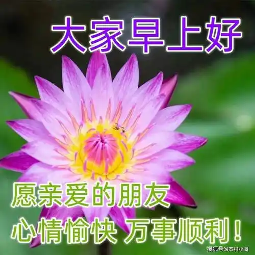 6月7日问候大家早上好表情大全动态图片,早上好问候语图片带字_生活