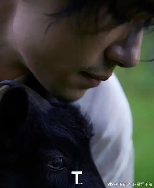 易烊千玺山里遇黑山羊桀骜不驯的眼神和狂野的大自然浑然一体