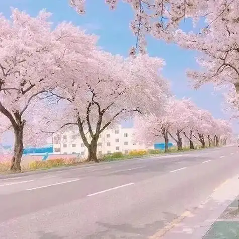 中ui设置背景图片_50张非常好看的微信朋友圈封面背景图片大全 都是你