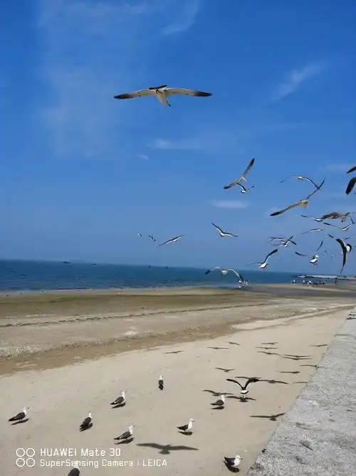 2020年7月4日山东青岛之旅!