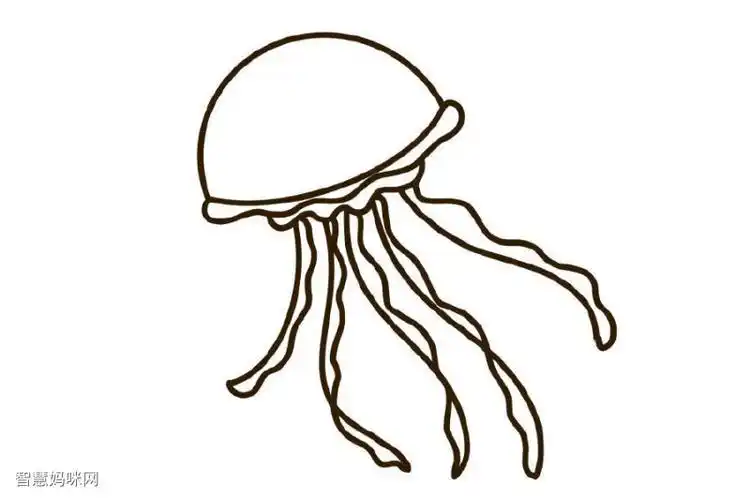 海绵宝宝水母的简笔画步骤