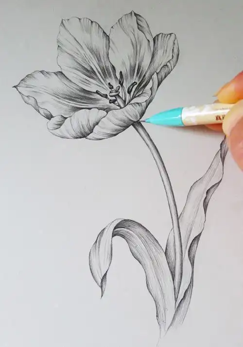 普通自动铅笔能画素描吗?看看这些手绘的漂亮小姐姐你就知道了