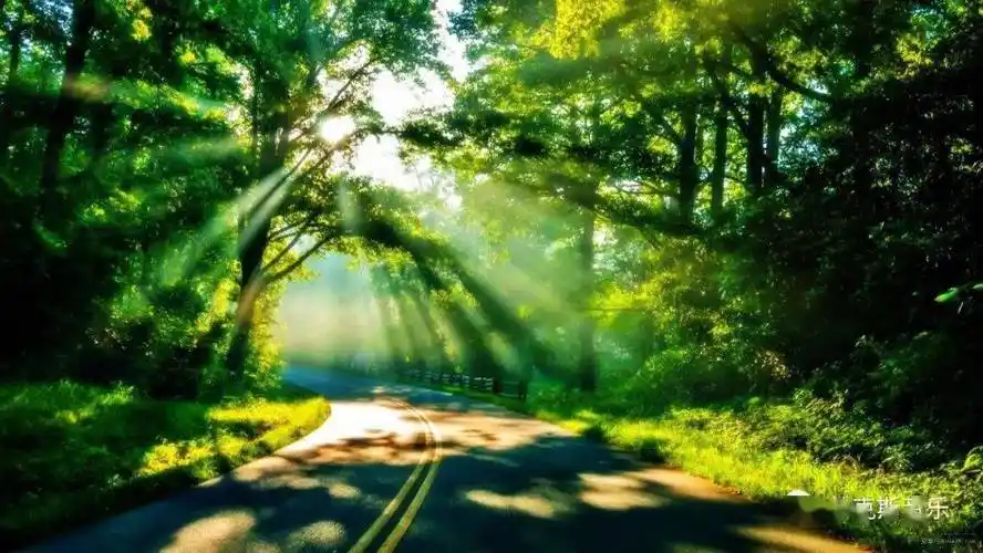 【morning清晨】kenny g肯尼基唯美萨克斯音乐(值得收藏)_阳光_店铺