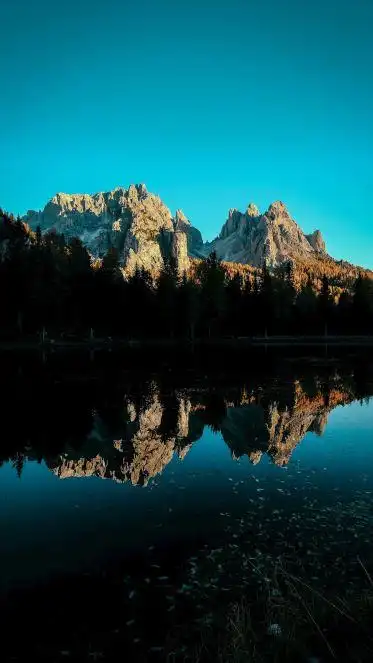 5k手机竖屏分辨率2160x3840湖光山色 森林壁纸 - 自然风光 - 好4k壁纸