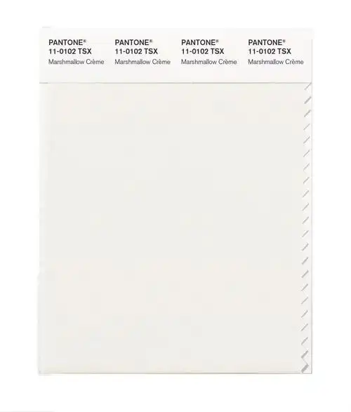 彩通聚酯纤维标准色卡11-0102tsx至11-4002tsx