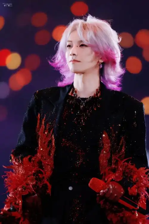 2023华晨宇火星演唱会##华晨宇 男孩子也穿婚纱太酷了吧