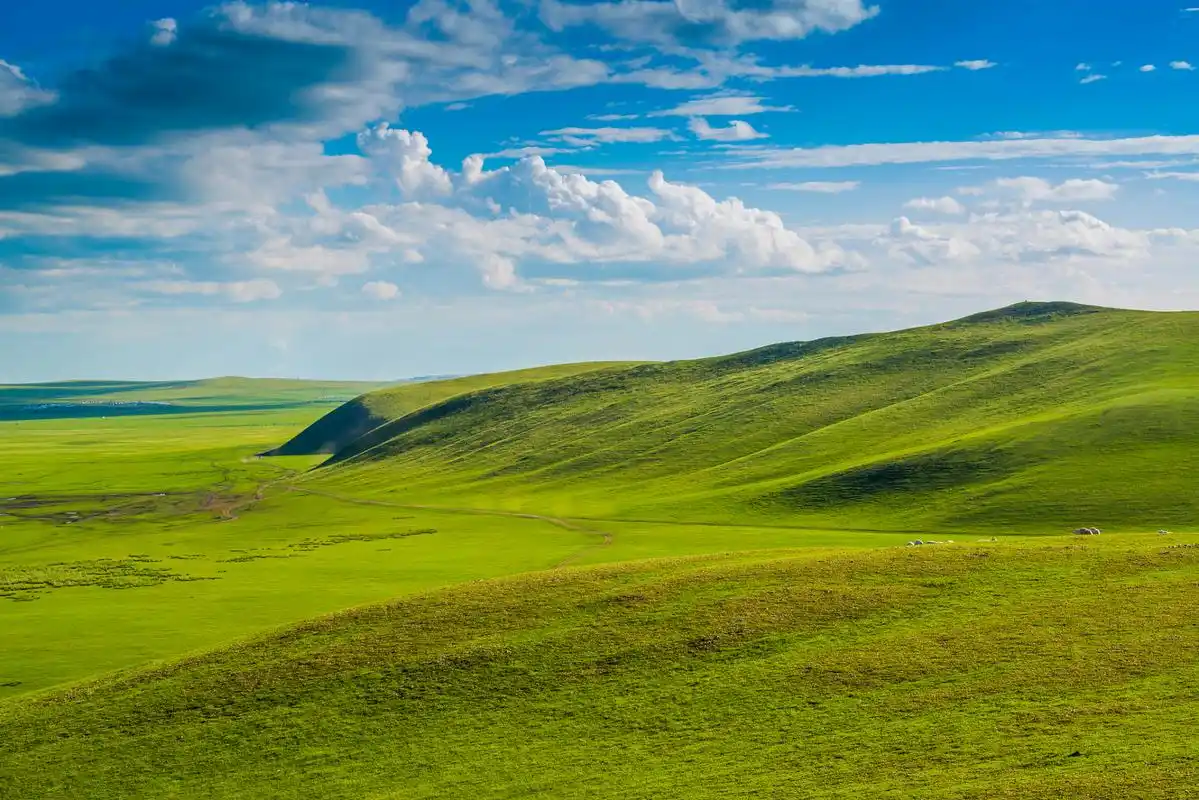 库尔德宁草原,绿色之肺的魅力之旅  大家好,今天我要给大家介绍的是