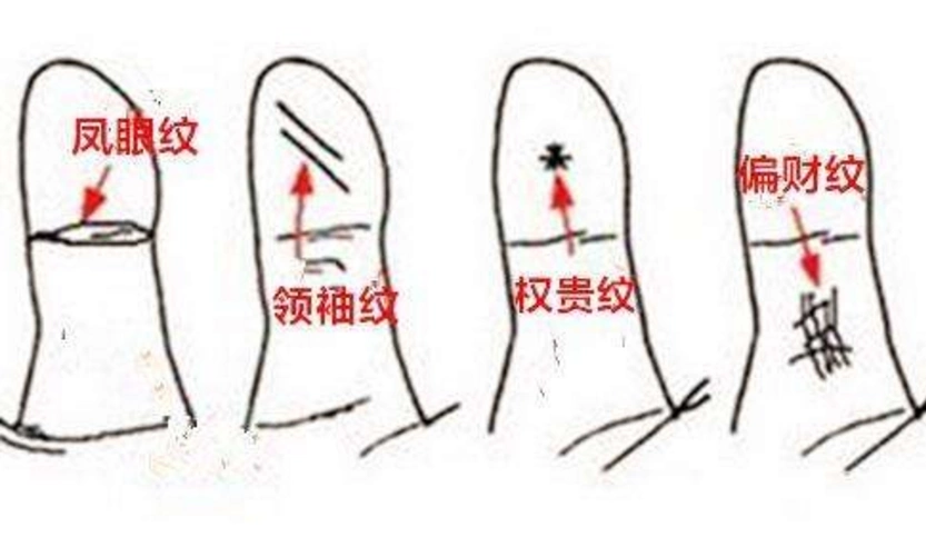 凤眼纹,手相的一种,出现在大拇指,在拇指上有一个完全的圆圈.