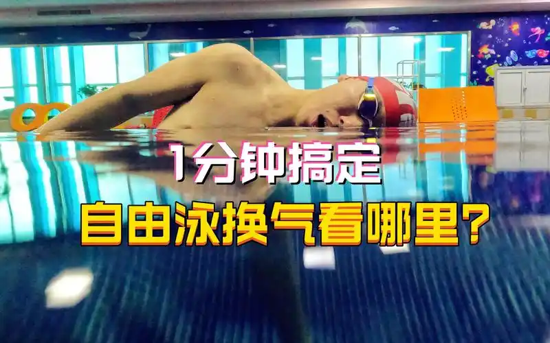 1分钟讲透自由泳换气看哪里?