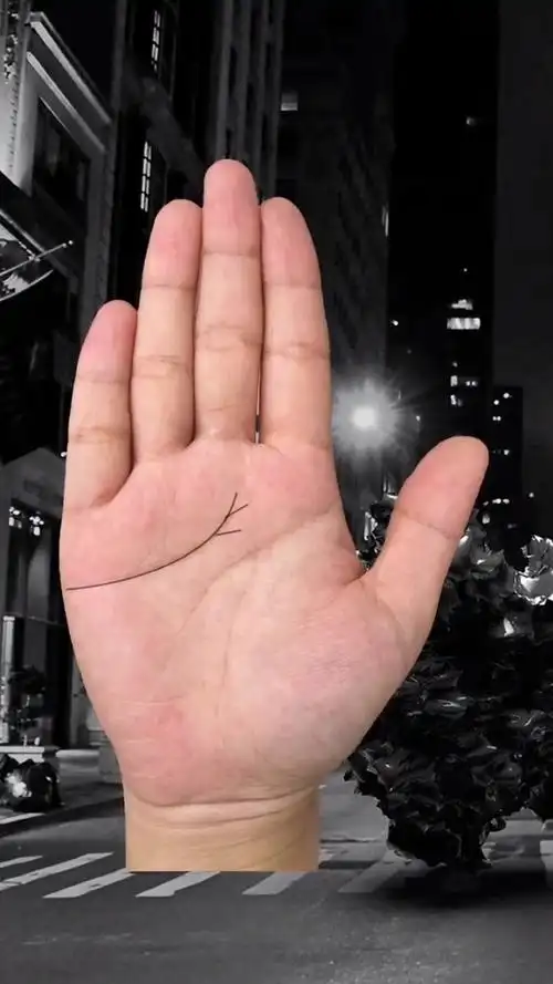 手纹分析,感情线分三叉