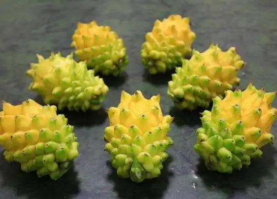 世界5大罕见水果:基本很少有人吃过2种以上!极其罕见与稀少