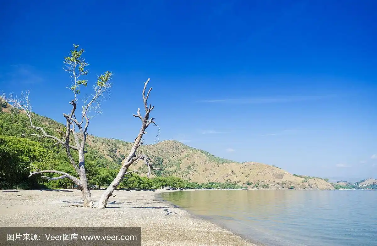 东帝汶帝力附近的布兰卡海滩