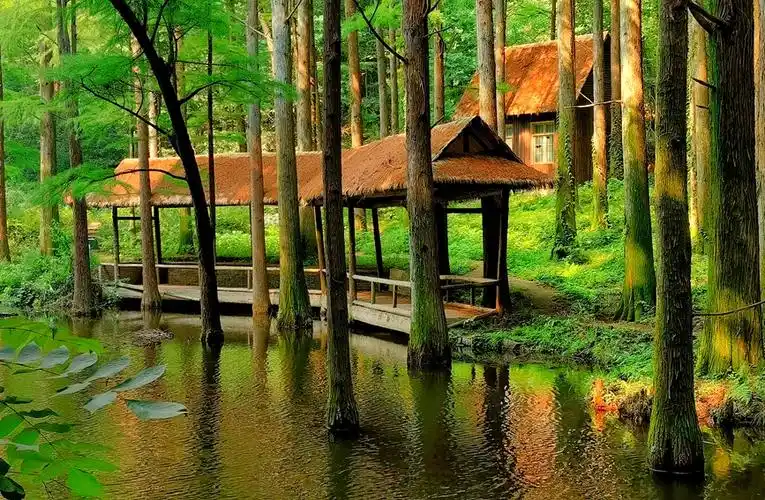 王剑波 摄"天然氧吧"波尔登森林公园.