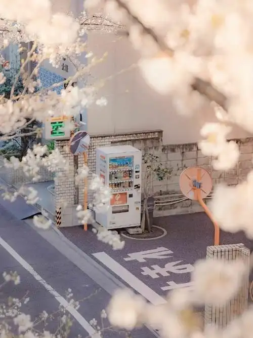 超级好看的聊天背景图片,唯美充满意境的微信聊天背景图片