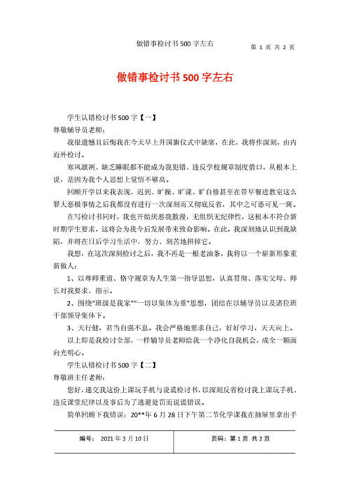 做错事检讨书500字左右docx2页