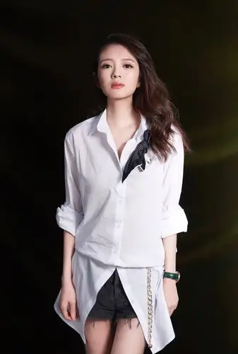 安以轩一家与信王力宏潘玮柏一同跨年笑称听了两场演唱会