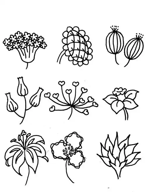 各种花简笔画 各种花简笔画图片大全