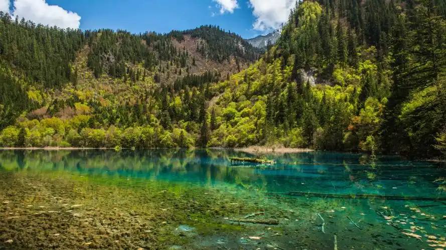 美如画的九寨沟景区风景-风景壁纸-高清风景图片-第14图-娟娟壁纸