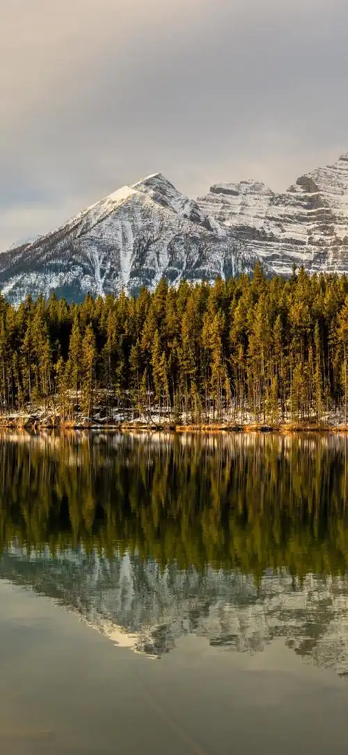 壁纸|高清手机壁纸