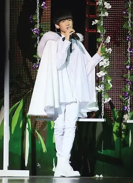 图tfboys王源生日演唱会15岁收获粉丝无数爱