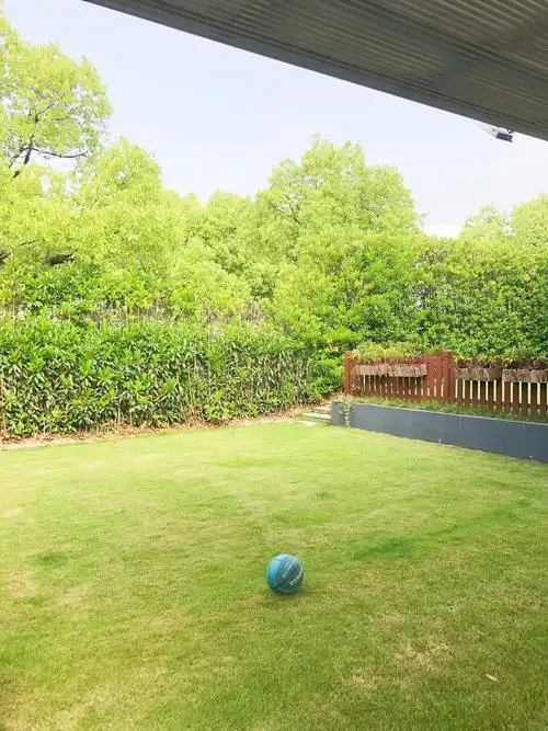 南花园的mini篮球场